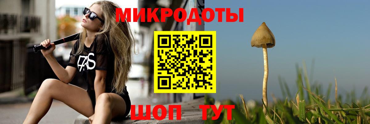 Галлюциногенные грибы Psilocybe Скопин